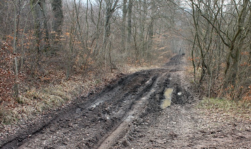 Bild: Vorsicht an einigen Wanderwegen