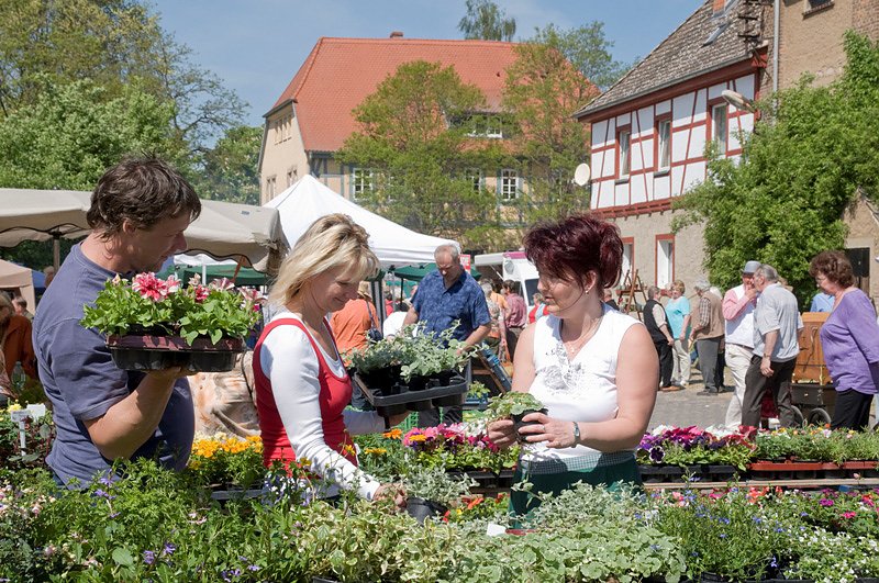 Bild: Naturf&uuml;hrung beim Blumenmarkt