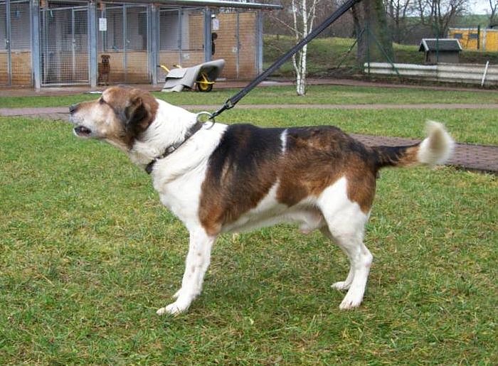 Bild: Rex
