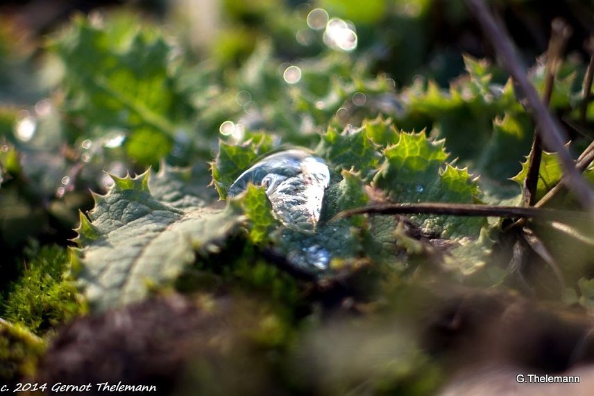 Bild: Wetterbild
