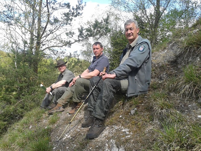 Bild: v.l.n.r.: Knut Apel (stellvertretender Forstamtsleiter Forstamt Bleicherode-S&uuml;dharz), Stadtf&ouml;rster Axel Axt und der Revierleiter Nordhausen Michael Wei&szlig;leder bei der Begehung im Naturschutzgebiet R&uuml;digsdorfer Schweiz.