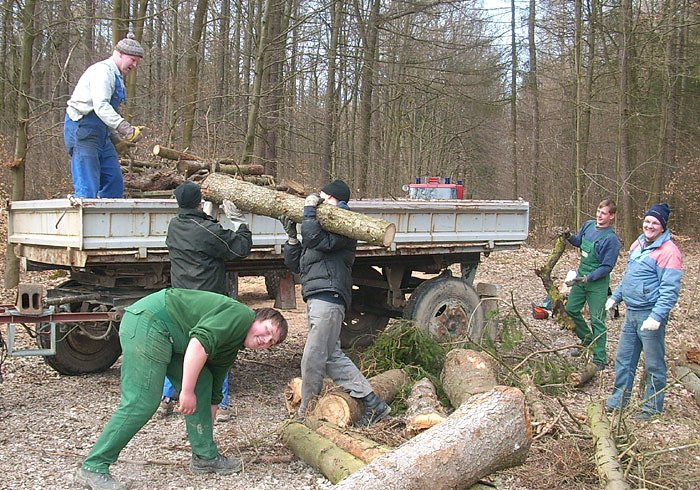 Bild: Vorbereitung Maifeuer in Westerengel