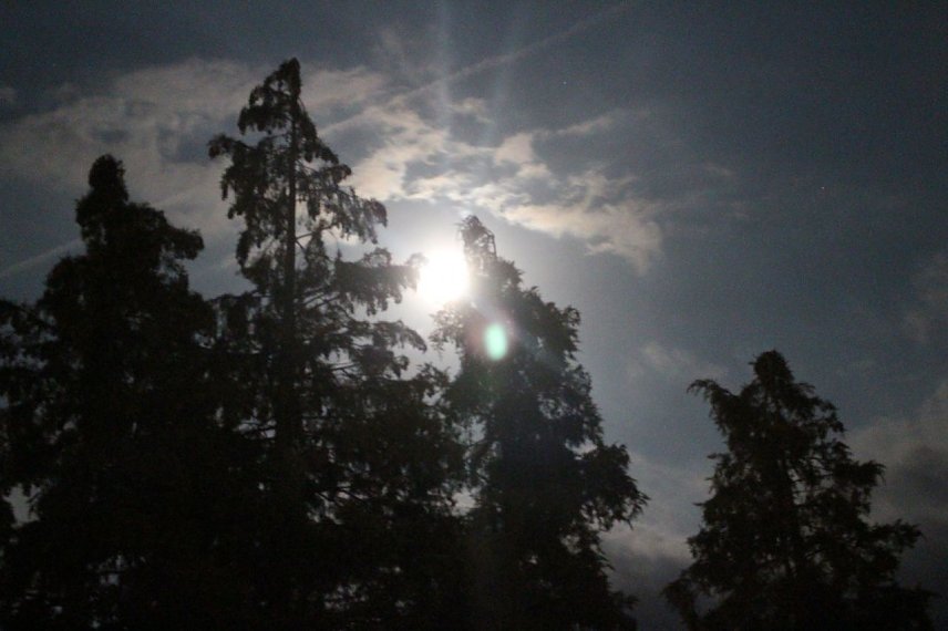 Bild: Wetterbild