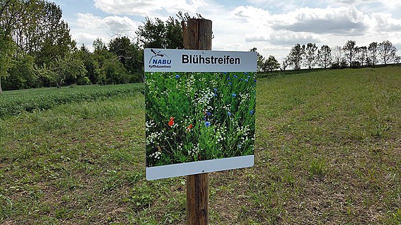 Bild: Feldraine und Bl&uuml;hstreifen