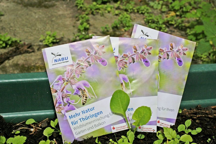Bild: Mehr Natur f&uuml;r Th&uuml;ringen - der NABU will zum Geburtstag 10.000 T&uuml;ten voller Wildblumensamen verteilen