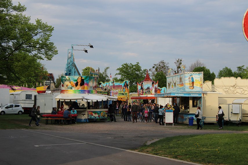 Bild: Nachbetrachtung zum 23. Fliederfest in Bad Frankenhausen