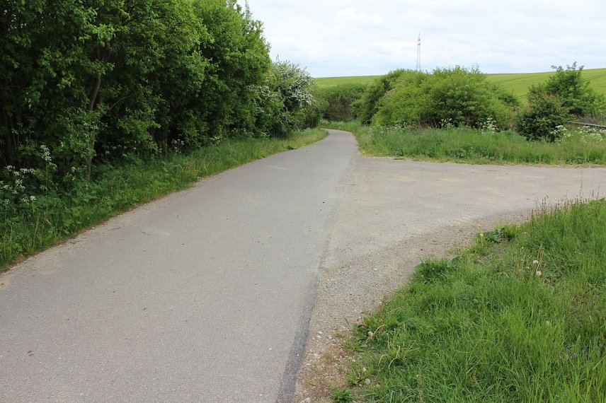 Bild: Jetzt schon Baum&auml;ngel am neuen Radweg?
