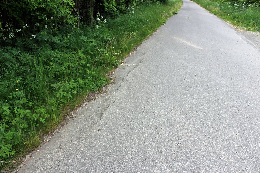 Bild: Jetzt schon Baum&auml;ngel am neuen Radweg?