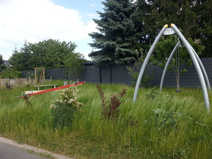 Bild: Spielplatz am Schwalbenweg: wild wucherndes Wiesengr&uuml;n statt spielender Kinder
