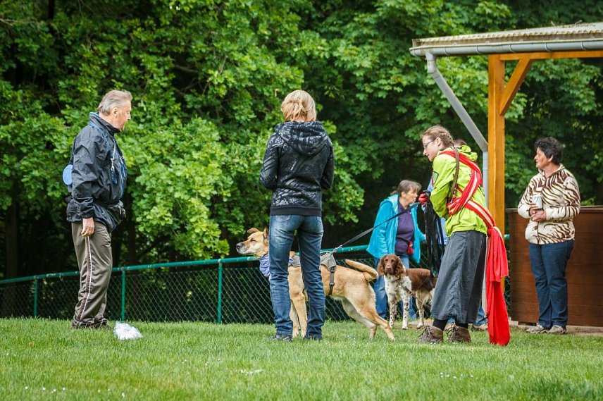 Bild: Mantrailing-Seminar auf dem Sondersh&auml;user Hundeplatz