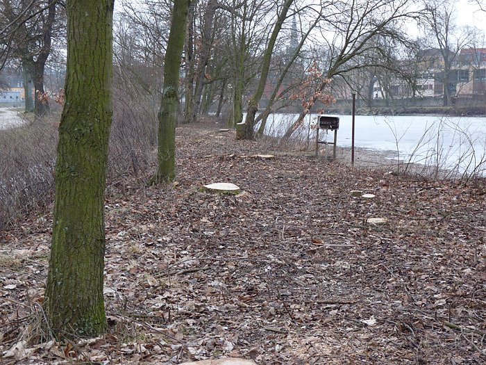 Bild: Parkteich Sondershausen