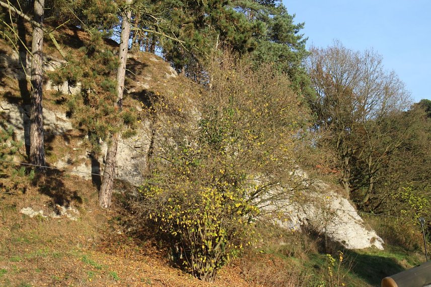 Bild: Gipskarstlandschaft bei Steigerthal