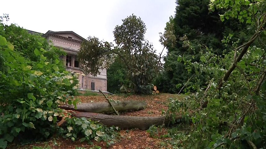Bild: Der Park Hohenrode ist in den st&uuml;rmischen Tagen vergleichsweise glimpflich davongekommen und auch sonst gib es gute Nachrichten