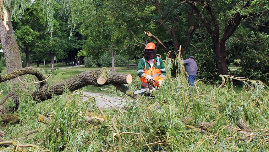 Bild: Schlosspark Sondershausen gesperrt 