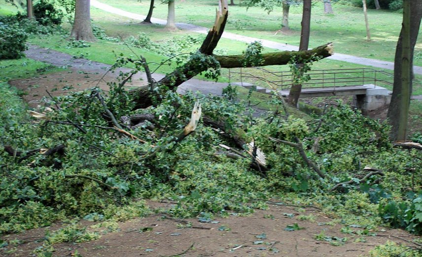 Bild: Schlosspark Sondershausen gesperrt 