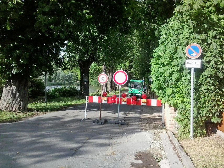 Bild: Vorsicht bei Waldspazierg&auml;ngen