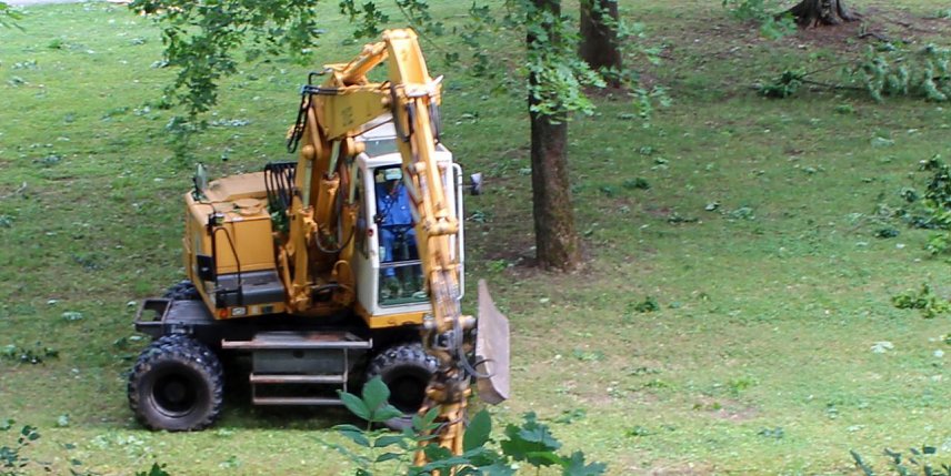 Bild: Sturmsch&auml;den im Schlosspark Sondershausen