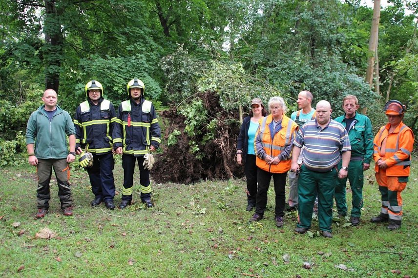 Bild: ie Aufr&auml;umaktion ist eine Gemeinschaftsarbeit mehrerer st&auml;dtischer &Auml;mter und der Feuerwehr. Insgesamt sind 30 Menschen im Einsatz. Hier ein Teil der Mitarbeiter  vor einer rund 70 Jahre alten umgebrochenen Kiefer im Stadtpark.