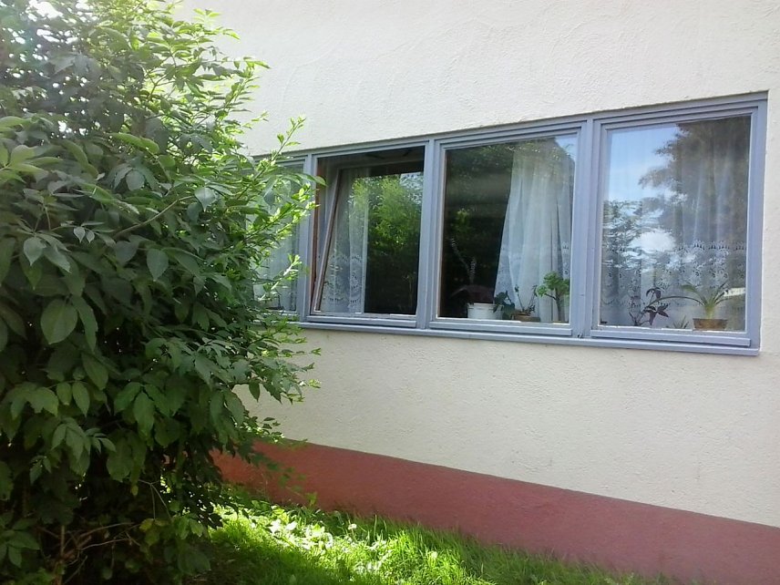 Bild: Was f&uuml;r ein schrecklicher Tag