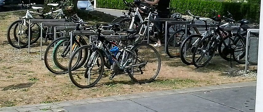 Bild: Radfahrer bleiben auf dem Kyffh&auml;user weiter im Abseits?