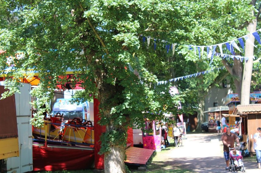 Bild: Brunnenfest in Artern