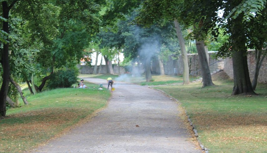 Bild: Grillparty im Schlosspark?