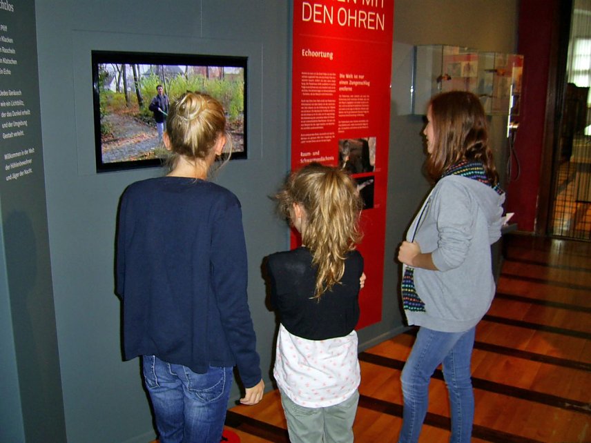 Bild: Fledermausabend im Regionalmuseum