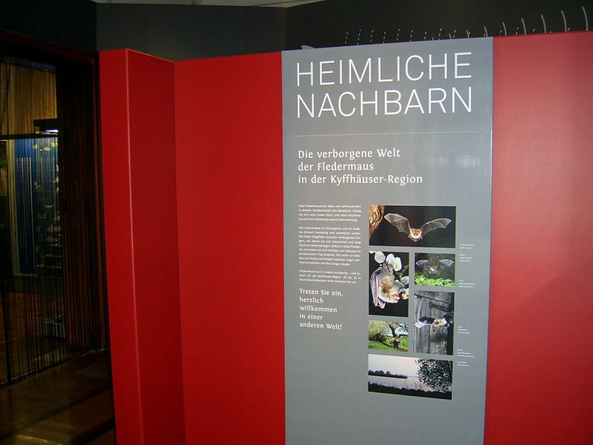 Bild: Fledermausabend im Regionalmuseum