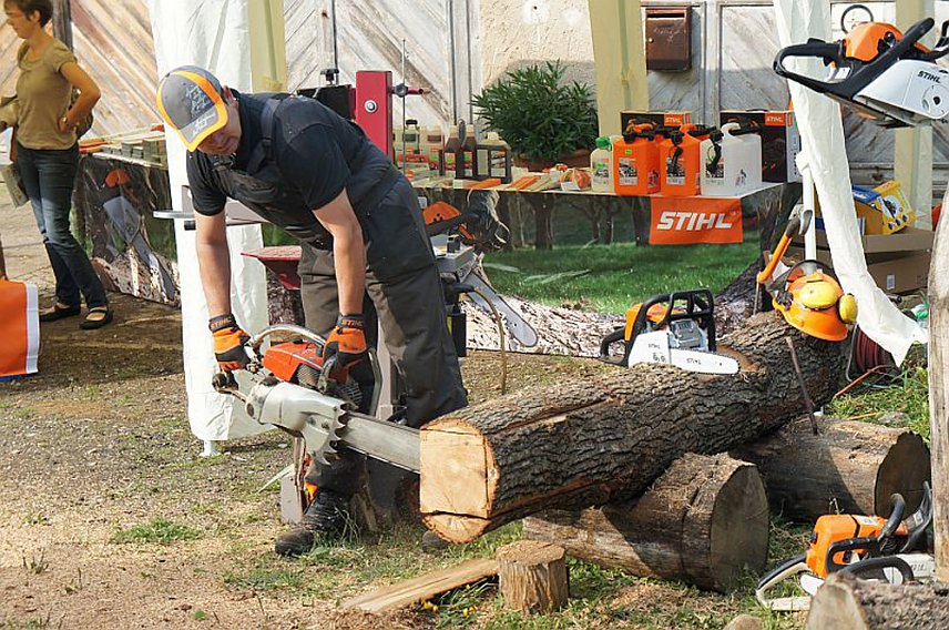 Bild: Holzmarkt Hohe Schrecke