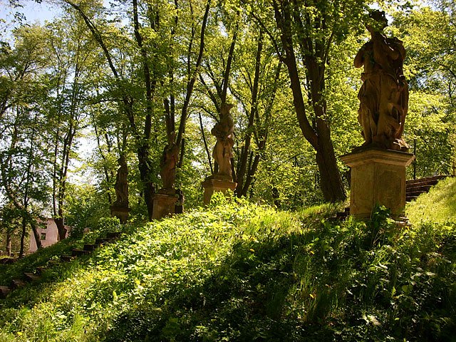 Bild: Schlosspark Ebeleben im Vorjahr