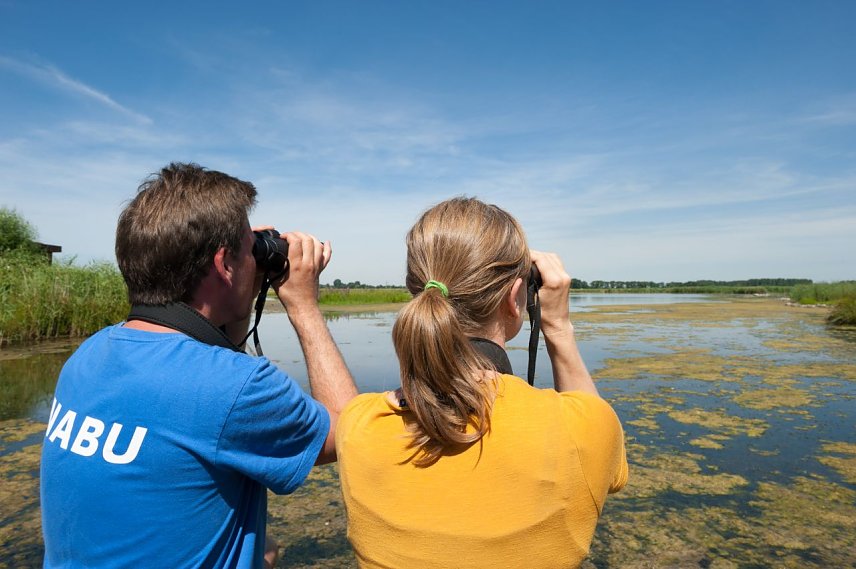Bild: NABU l&auml;dt zum Birdwatch 2015 nach Strau&szlig;furt