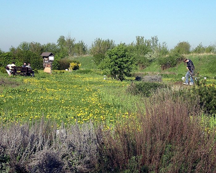 Bild: Natur-und Kr&auml;utergarten Artern