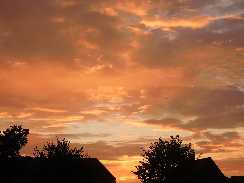 Bild: Abendsonne &uuml;ber Ilfeld am 03.10.2015