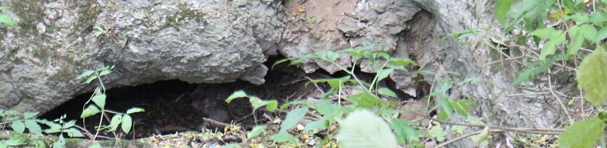 Bild: Tiefer Schlund - der Erdfall bei Buchholz