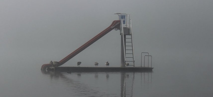 Bild: Brrr! Sehr k&uuml;hl beim Abbaden