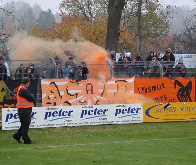 Bild: Das sind "Fans"