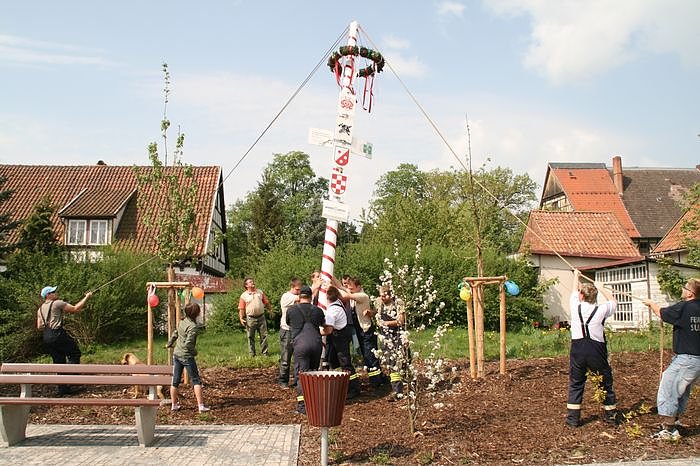 Bild: Maibaum setzen