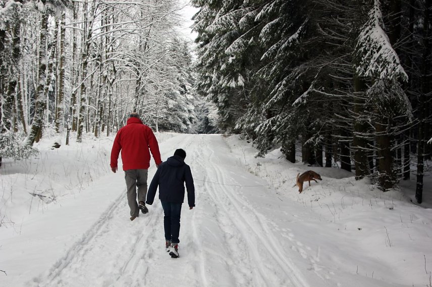 Bild: Spaziergang im Winterwald