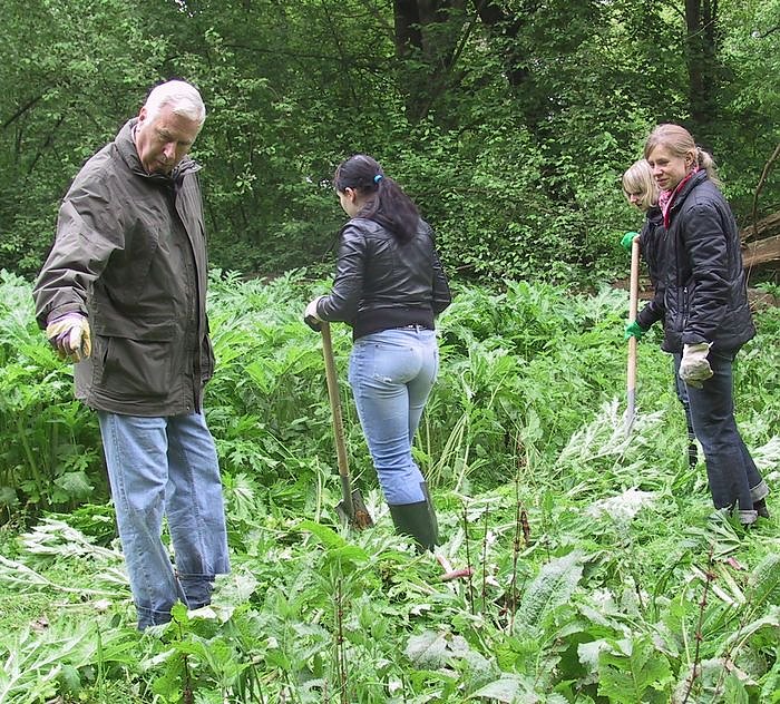 Bild: Arbeit im Park