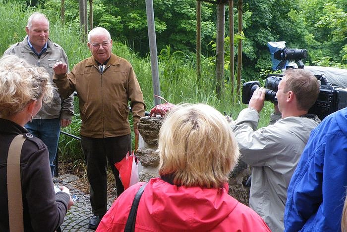 Bild: Treppenk&auml;fer vor der Linse