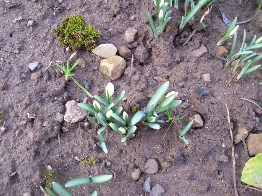 Bild: Hurra der Fr&uuml;hling ist da