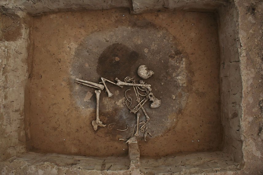 Bild: Arch&auml;ologische Funden werden in Artern pr&auml;sentiert