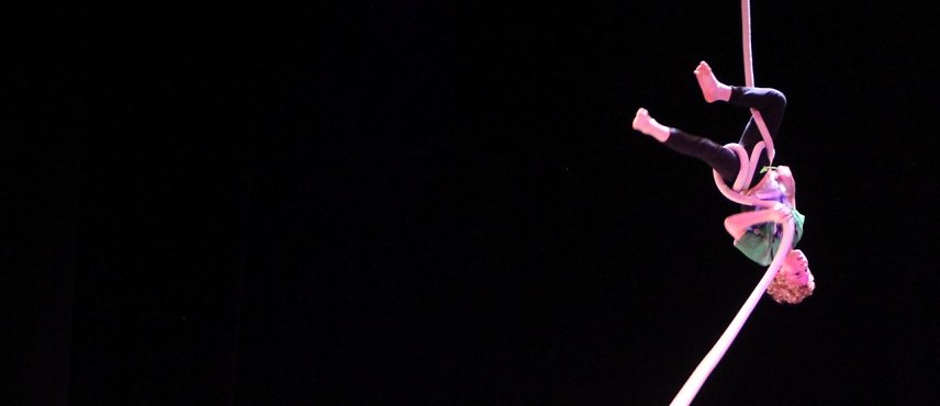 Bild: No money - pure honey - die Kinder des Zirkus Zappelini zeigten am Abend, was sie drauf haben