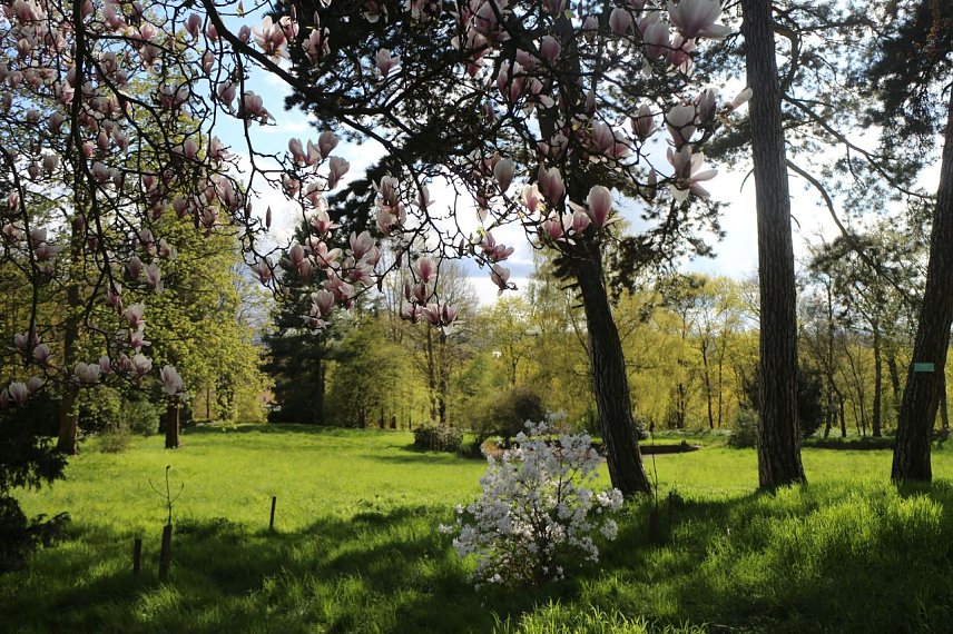 Bild: Alles bereit f&uuml;r das Parkfest - in dieser Woche wird im Park Hohenrode noch einmal ordentlich zugepackt