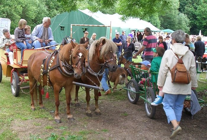 Bild: Drachenfest