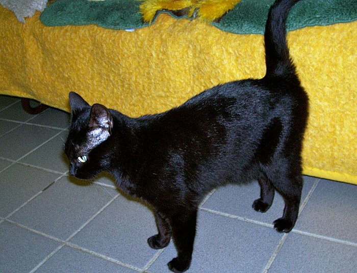 Bild: Anabell