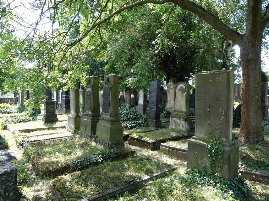 Bild: Grabsteinreihen auf dem j&uuml;dischen Friedhof in Nordhausen