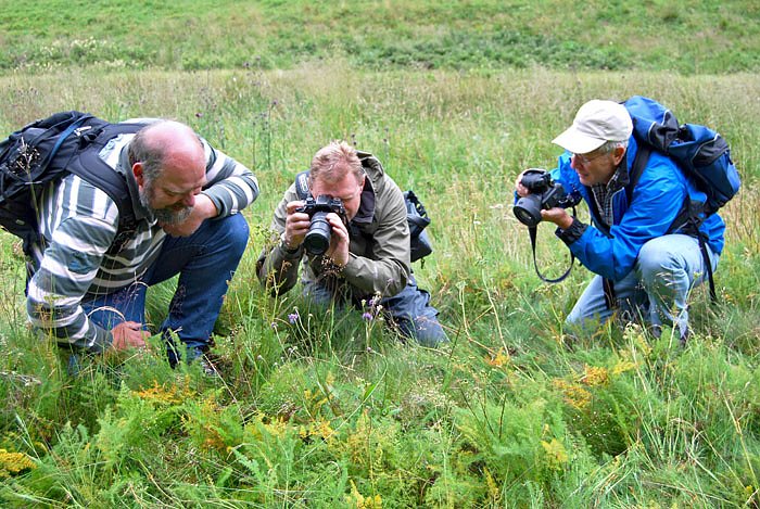 Bild: Interesse