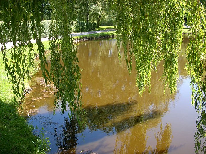 Bild: Kleiner Parkteich