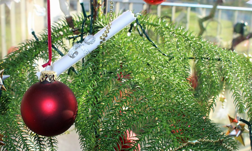 Bild: Der &ouml;kologischen Weihnachtsbaum